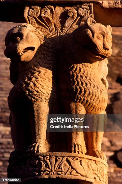 140 Ashoka Pillar Photos and Premium High Res Pictures - Getty Images 140 Ashoka Pillar Photos and Premium High Res Pictures - Getty Images