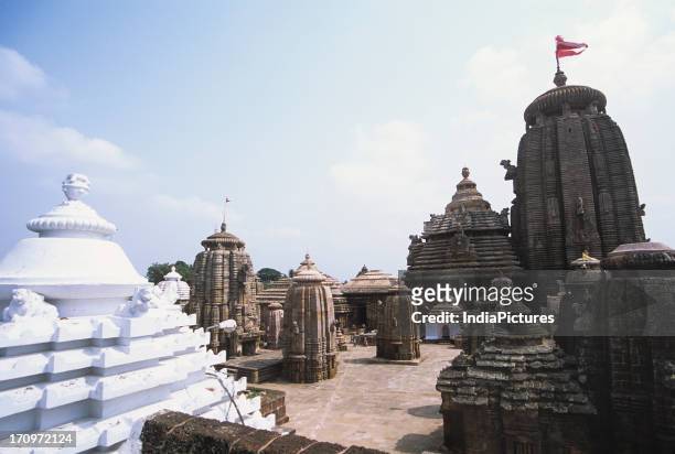 90 Lingaraj Temple Photos and Premium High Res Pictures - Getty Images