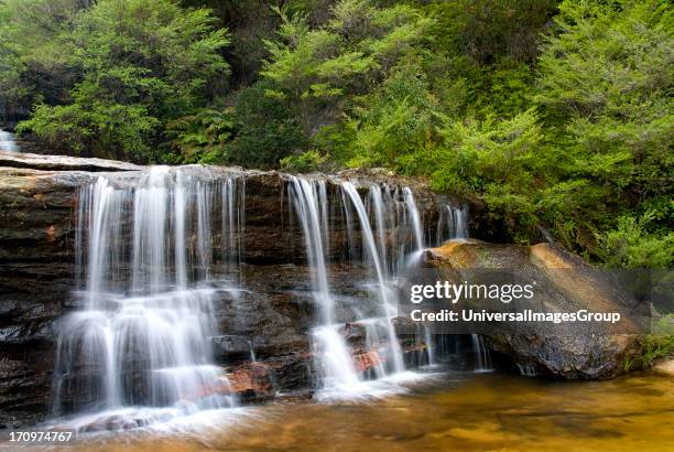 Cascades above Wentworth Falls, Blue Mountains National Park, Katoomba, Blue Mountains, New South Wales, NSW, Australia.