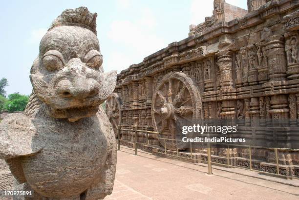 Statue of horse and chariot wheel at Konark Sun Temple complex, Konark, Puri, Orissa, India.