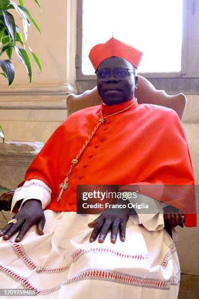 622 Martin Stock Photos, HighRes Pictures, and Images