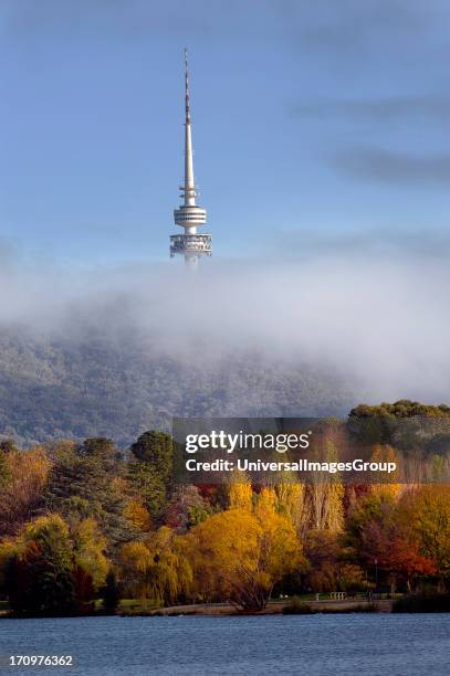 Black Mountain Tower, Telstra Tower, rising through fog in Autumn, Black Mountain Drive, Acton, Canberra, Australian Capital Territory, ACT,...