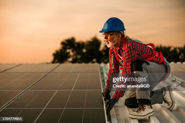 solar panel - panel solar stock pictures, royalty-free photos & images