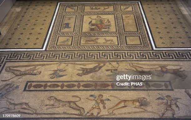 Mosaic of Orpheus. 200 AD. Of a private room, dining room or triclinium of a roman domus. From Miletus. Pergamon Museum. Berlin. Germany.