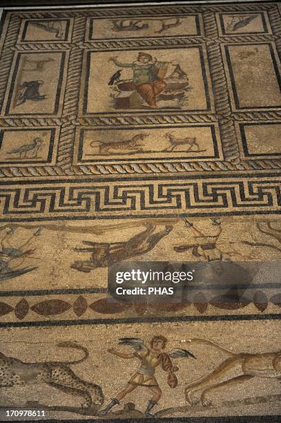 Mosaic of Orpheus. 200 AD. Of a private room, dining room or triclinium of a roman domus. From Miletus. Pergamon Museum. Berlin. Germany.