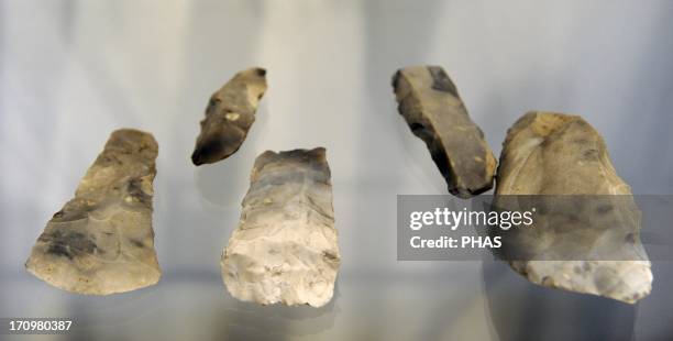 Flint handaxes. C. 8700 BC. Moose hunting. Skottemarke, Lolland. Maglemosian Culture, 9500-6500 BC. Mesolithic. National Museum of Denmark....