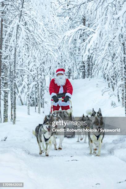 santa claus with husky dogs pulling a sleigh in the snow - christmas finland stock pictures, royalty-free photos & images