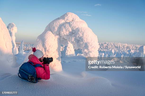 hiker in deep snow photographing a frozen forest - isskulptur bildbanksfoton och bilder