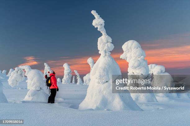 hiker admiring snowy ice sculptures at dawn - wonderlust stockfoto's en -beelden