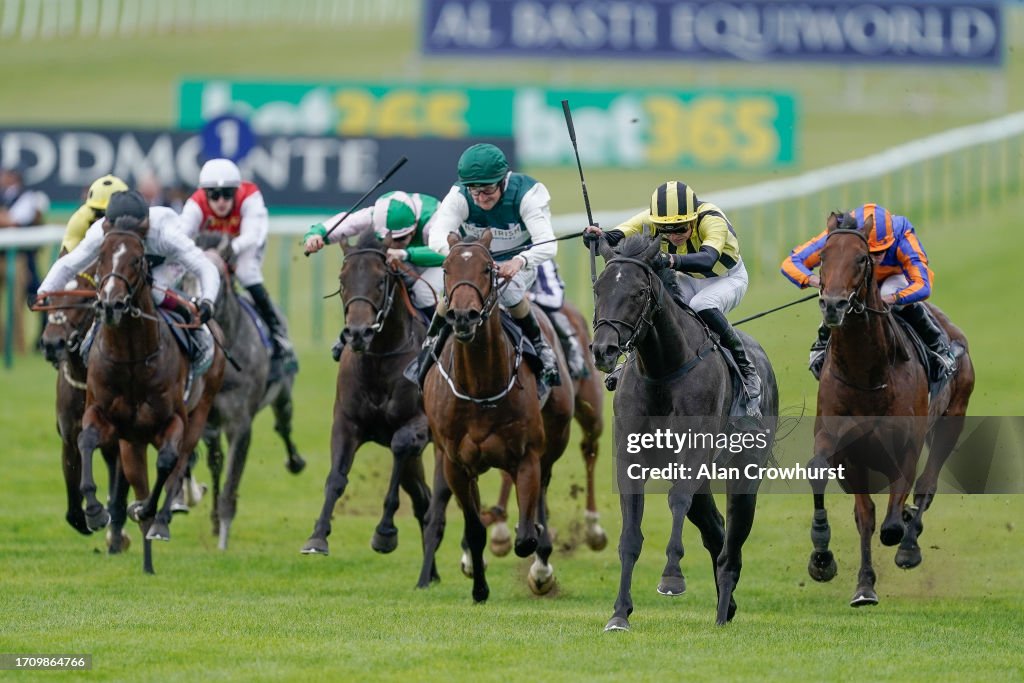 Newmarket Races