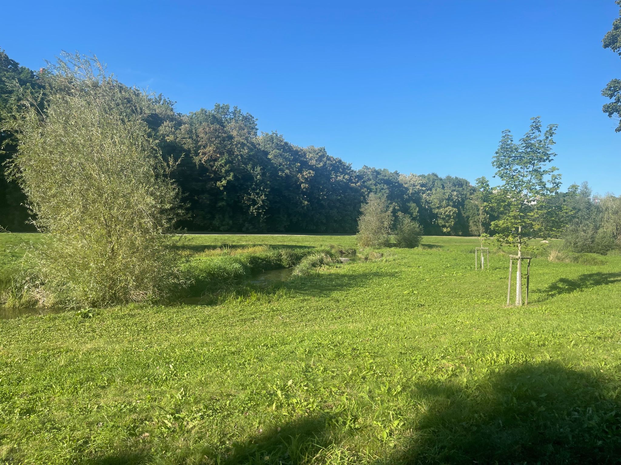 natur stadtilm