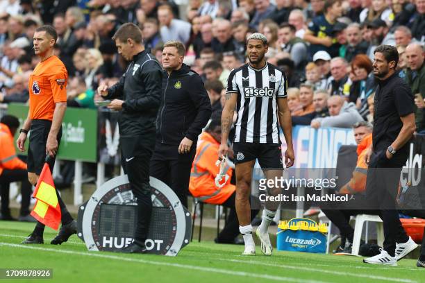 Joelinton of Newcastle United looks on from the side of the pitch after going off with an injury during the Premier League match between Newcastle...