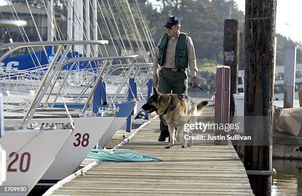 Police dog searches for signs of missing woman Laci Peterson January 4, 2003 in Berkeley, California. Peterson, who is eight-months pregnant, has...