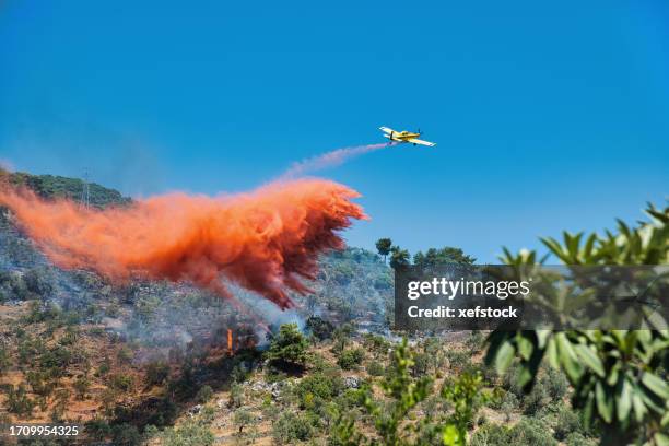 feuerwehrmann-flugzeug setzen, ein feuer - feuerwehrschlauch stock-fotos und bilder