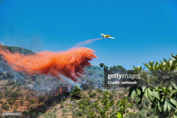 firefighter airplane putting out a fire - wildfire firefighter stock pictures, royalty-free photos & images