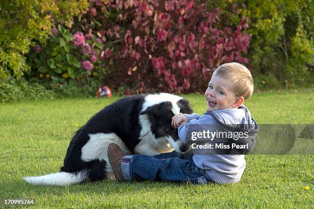 happy boy plays with dog in garden - boy looking over shoulder stock pictures, royalty-free photos & images