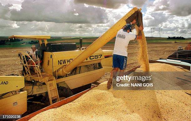 Soy bean production on a farm is filled into a truck, 13 May 2003 in Toledo, Brazil.AFP PHOTO/Nani Gois La producción de soja de una hacienda es...