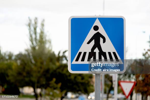 blue traffic signal for crosswalk on a pole with a public park in the background with trees, front view - paso peatonal raya indicadora fotografías e imágenes de stock