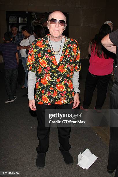 Reggie Bannister as seen on June 20, 2013 in Los Angeles, California.