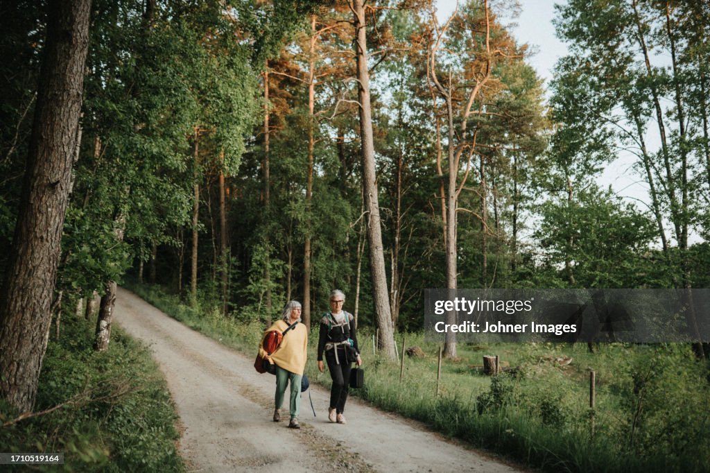 Two senior women hiking in forest