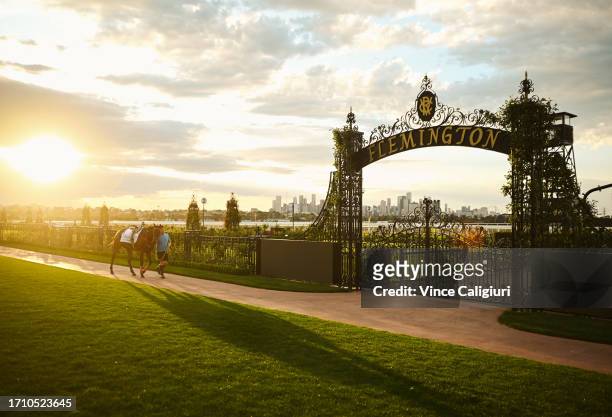 Hong Kong International Romantic Warrior is seen before galloping at Flemington Racecourse on October 01, 2023 in Melbourne, Australia.