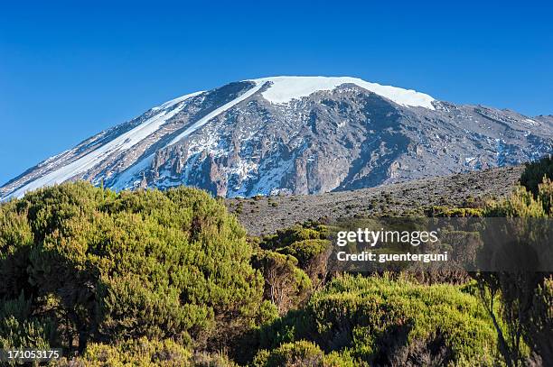 snowcapped summit of mount kilimanjaro, tanzania - mt kilimanjaro stock pictures, royalty-free photos & images