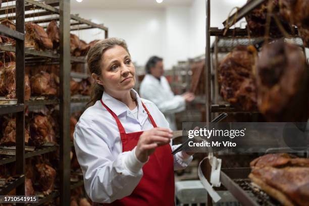 controller worker in a dry meat warehouse - bbq smoker stock pictures, royalty-free photos & images