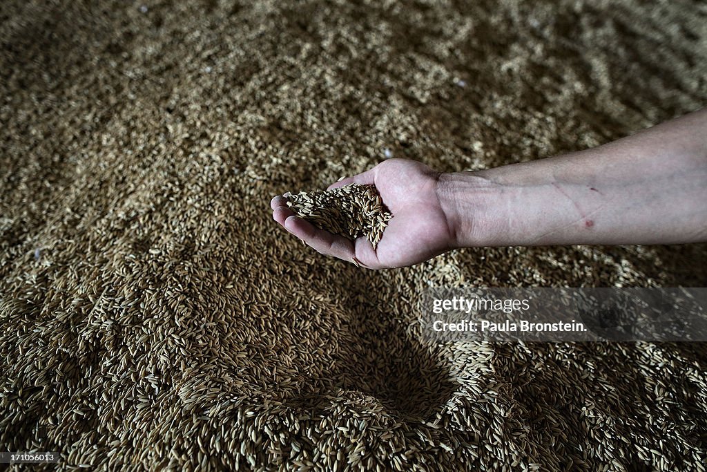 Thailand Lowers Rice Price Subsidy As Losses Mount