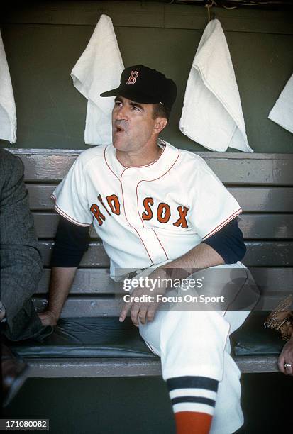 Manager Johnny Pesky of the Boston Red Sox looks on from the dugout before the start of a Major League Baseball game circa 1963 at Fenway Park in...