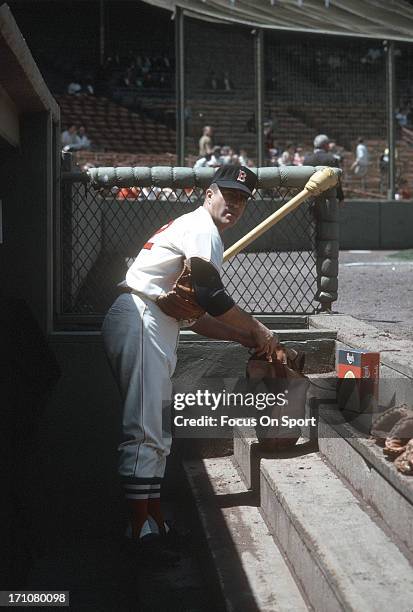 Manager Johnny Pesky of the Boston Red Sox looks on from the dugout before the start of a Major League Baseball game circa 1963 at Fenway Park in...