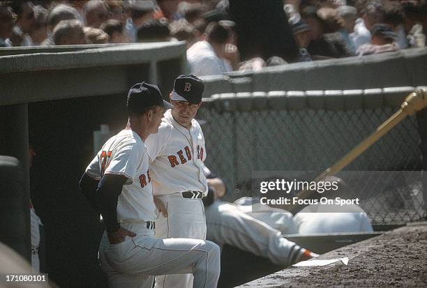 Manager Johnny Pesky of the Boston Red Sox talks with his coach Harry Malmberg during a Major League Baseball game circa 1963 at Fenway Park in...