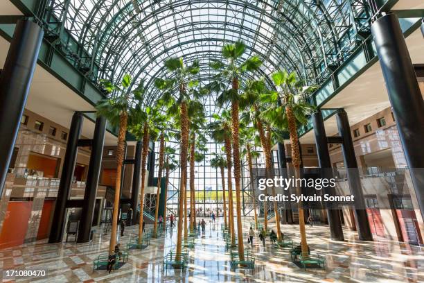 the winter garden atrium, new york city - world financial center stock-fotos und bilder