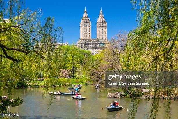 new york city, central park - central park stock-fotos und bilder