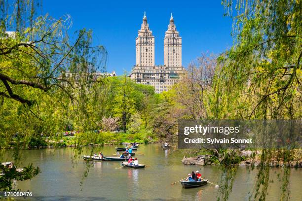 new york city, central park - central park fotografías e imágenes de stock