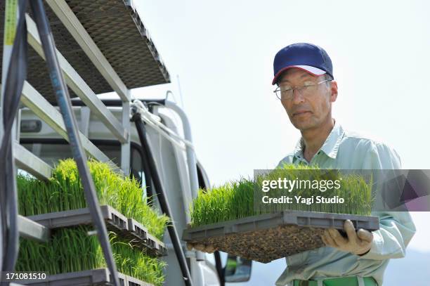 Japanese Rice Worker 30 Japan Rice Loading Stock Photos, High-Res Pictures, and Images ...