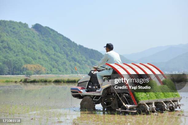 japanese farmer working in rice planting in hyogo - agricultural equipment stock pictures, royalty-free photos & images