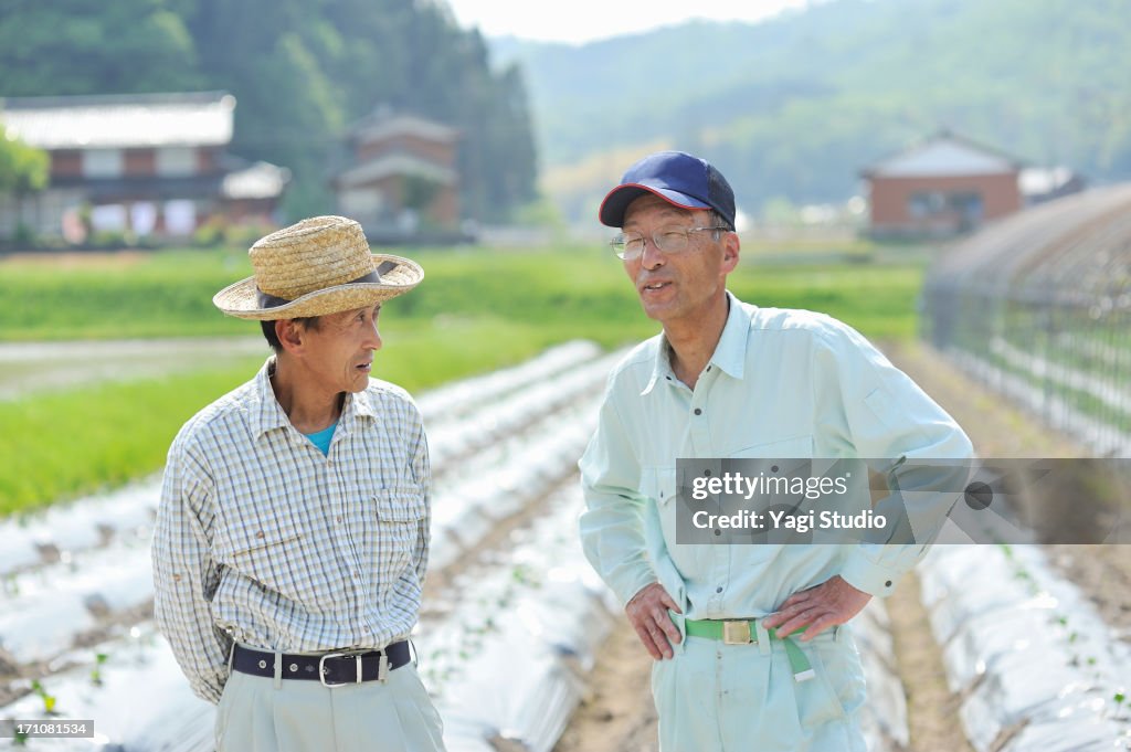The man of two farmers talking,smiling,Japan