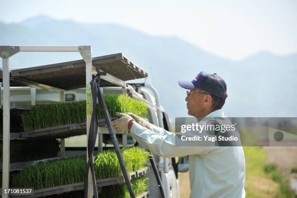 Japanese Rice Worker Japan Rice Loading Photos and Premium High Res Pictures - Getty Images