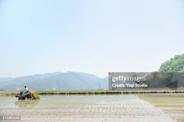 Japanese Rice Worker 3,076 Japan Rice Farm Stock Photos, High-Res Pictures, and Images ...