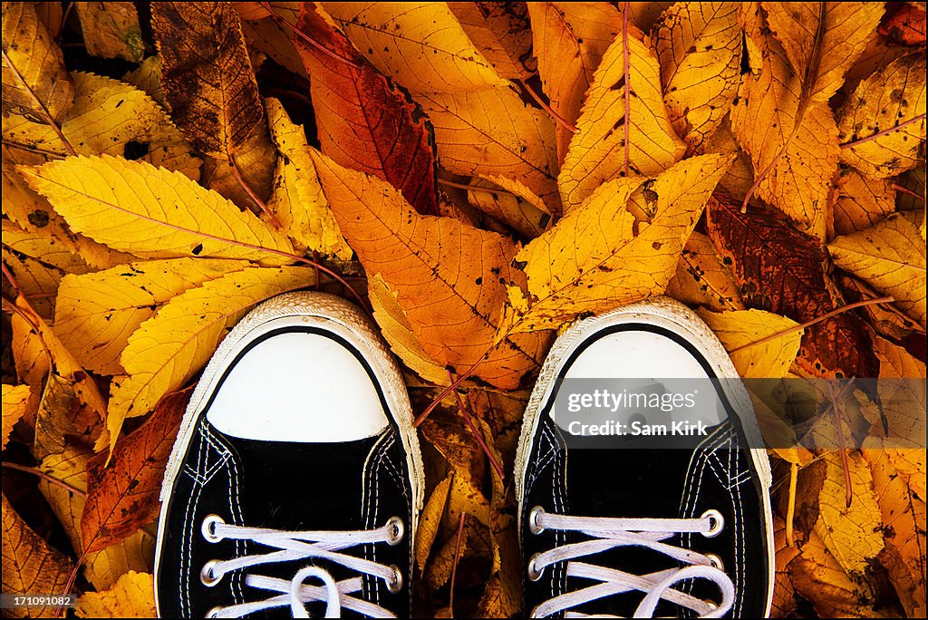 Black and white trainers on autumnal leaves