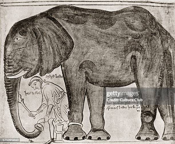 Matthew Paris - English chronicler - Illumination from his ' Historia Major ' depicting the elephant sent by St. Louis to Henry III in 1255...