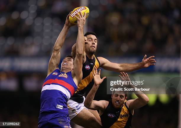 Lukas Markovic of the Bulldogs and Troy Chaplin of the Tigers compete for the ball during the round 13 AFL match between the Western Bulldogs and the...