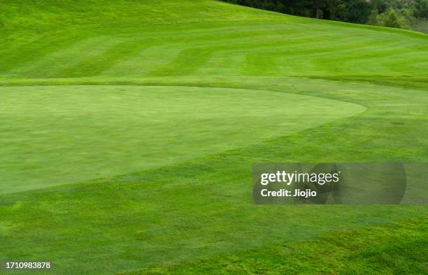 golf course - green de golf fotografías e imágenes de stock