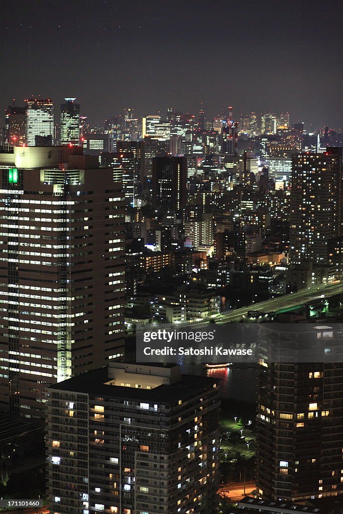 Toyosu Night