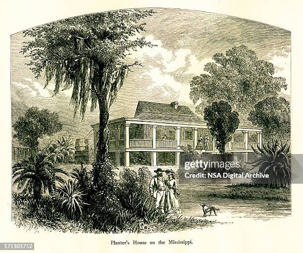 planter's house on mississippi river, usa | historic american illustrations - mississippi 幅插畫檔、美工圖案、卡通及圖標