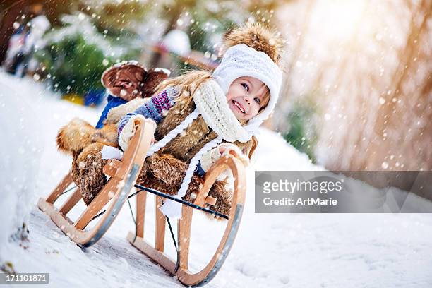 冬のお楽しみ - 橇 ストックフォトと画像