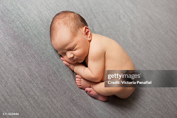 sleeping newborn - foetushouding stockfoto's en -beelden
