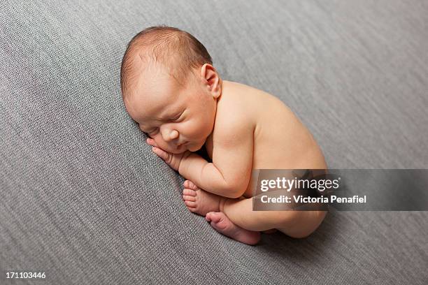 sleeping newborn - hugging knees stock pictures, royalty-free photos & images