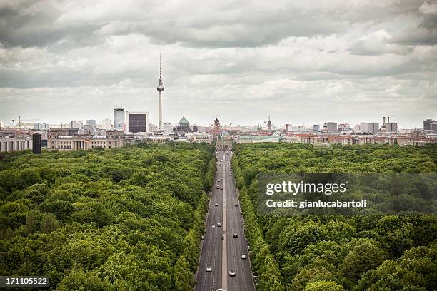 wide shot of berlin's skyline from high above the tree line - tiergarten stockfoto's en -beelden