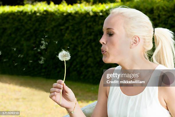 woman blows air at a dandelion - dandelion blowing stock pictures, royalty-free photos & images